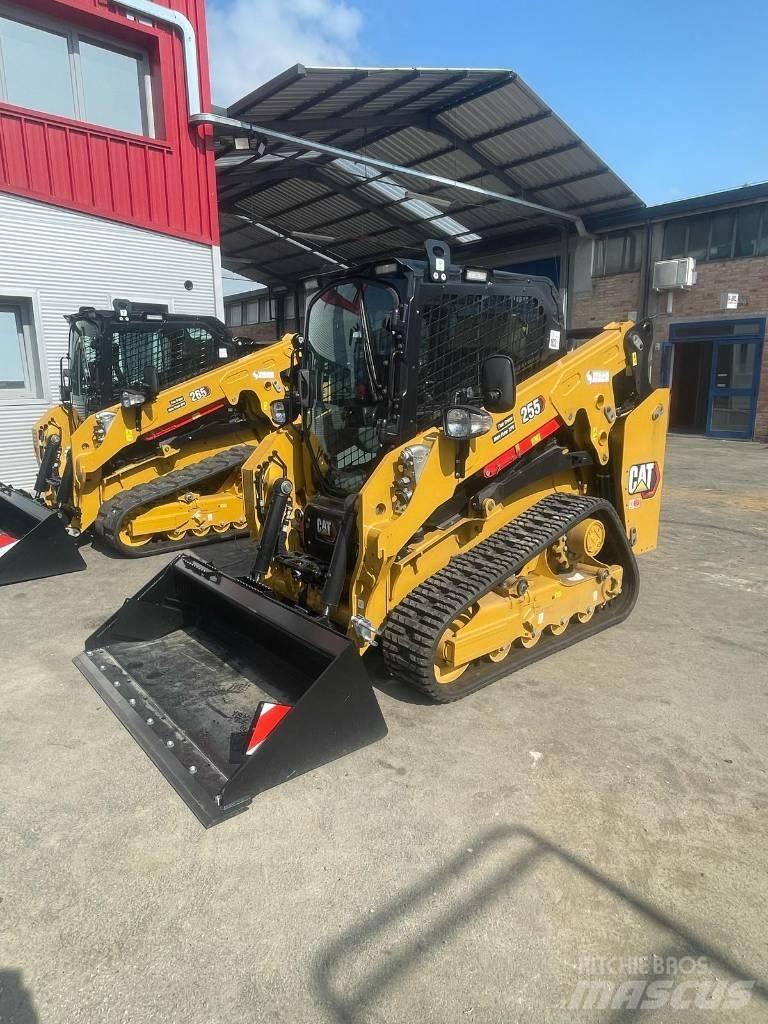 CAT 255 Pale cingolate