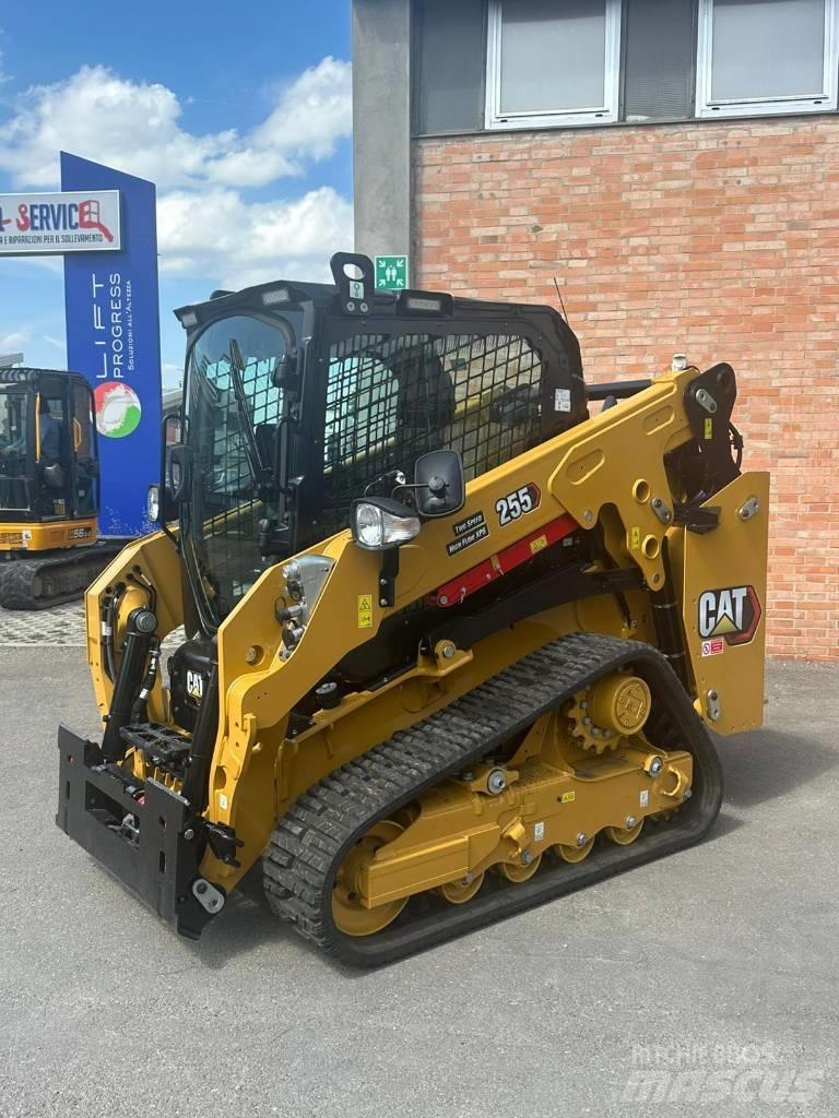 CAT 255 Pale cingolate