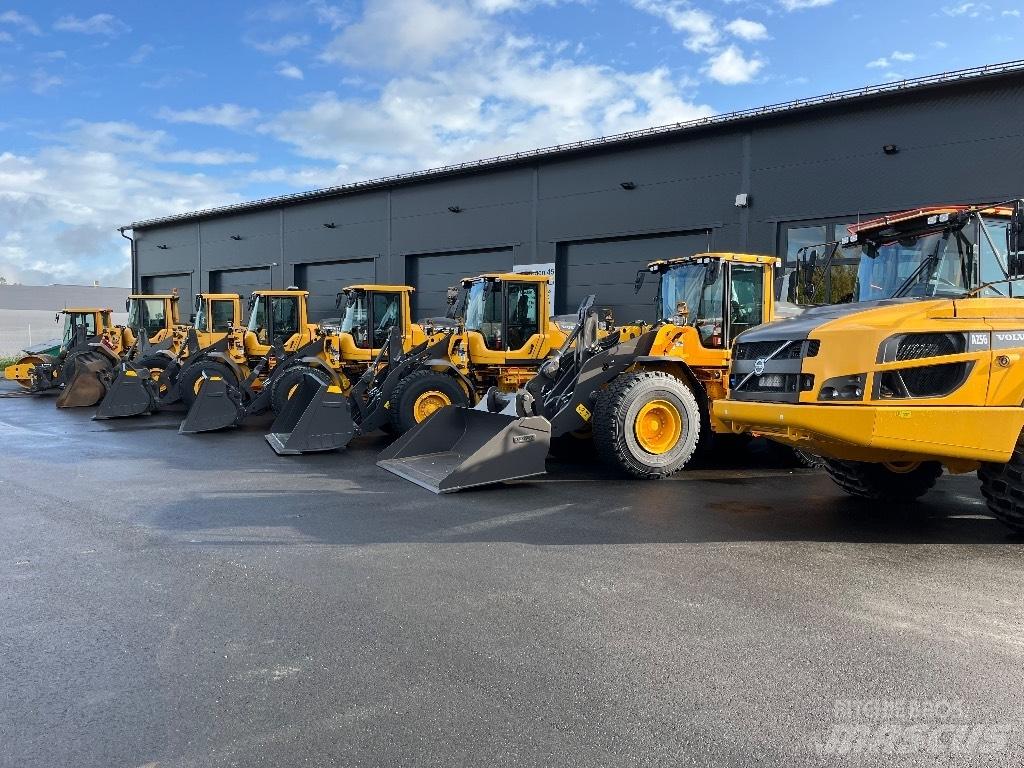 Volvo L 110 H Pale gommate
