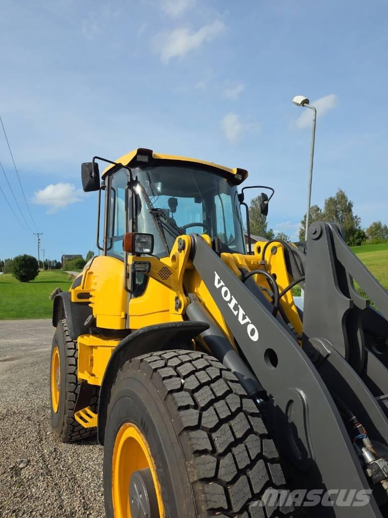 Volvo L 50 F Pale gommate