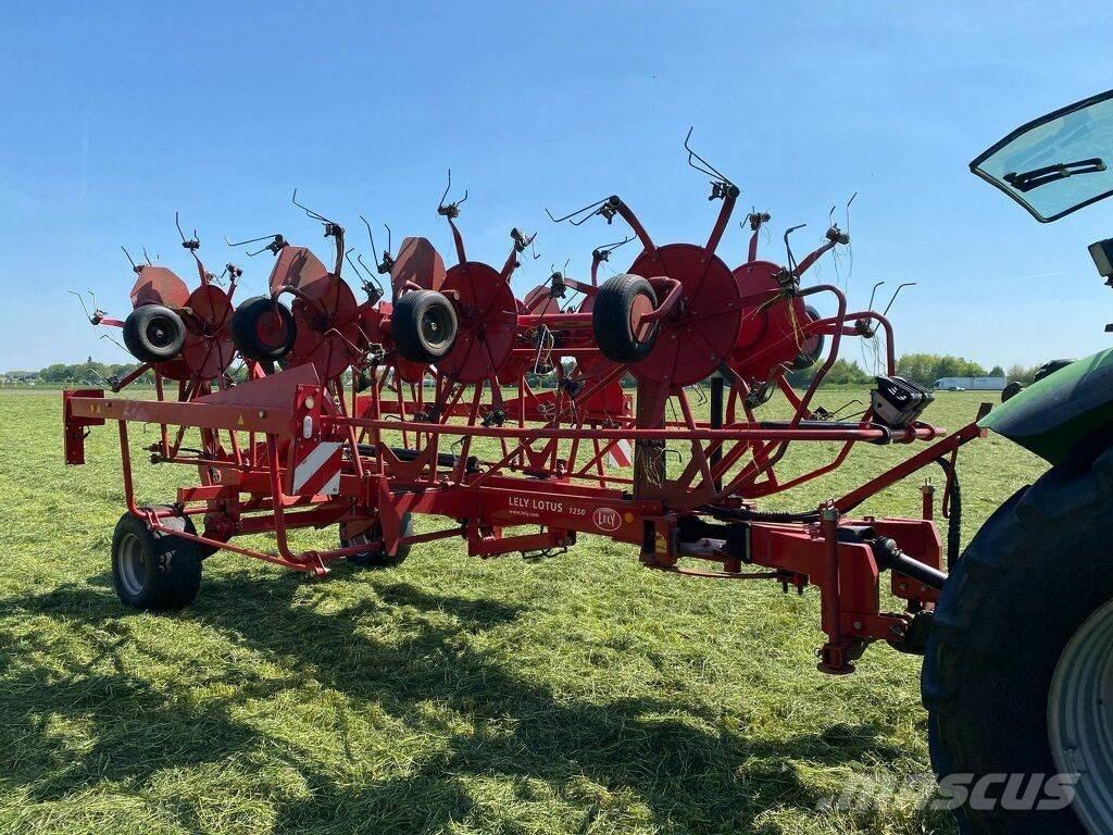 Lely 1250 Ranghinatori