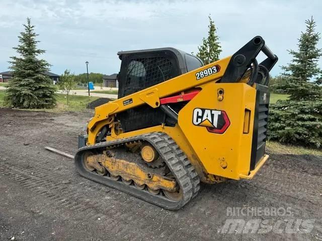 CAT 289 D3 Mini Pale Gommate