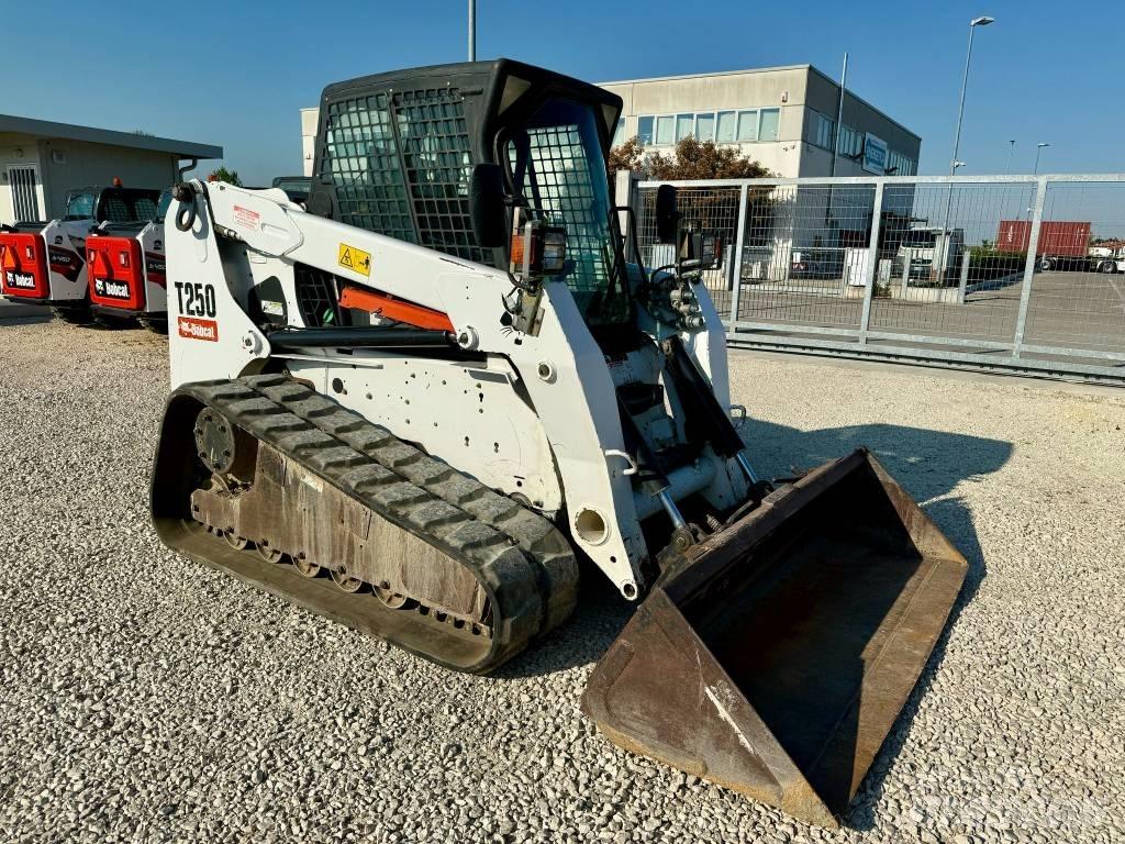 Bobcat T 250 Pale cingolate