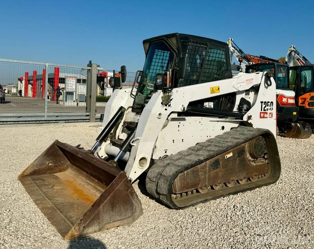 Bobcat T 250 Pale cingolate