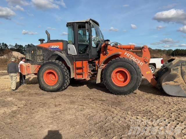 Hitachi ZW 220 Pale gommate