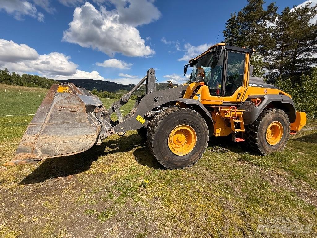 Volvo L 110 H Pale gommate