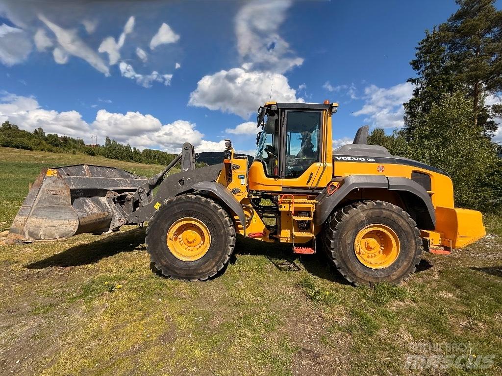 Volvo L 110 H Pale gommate