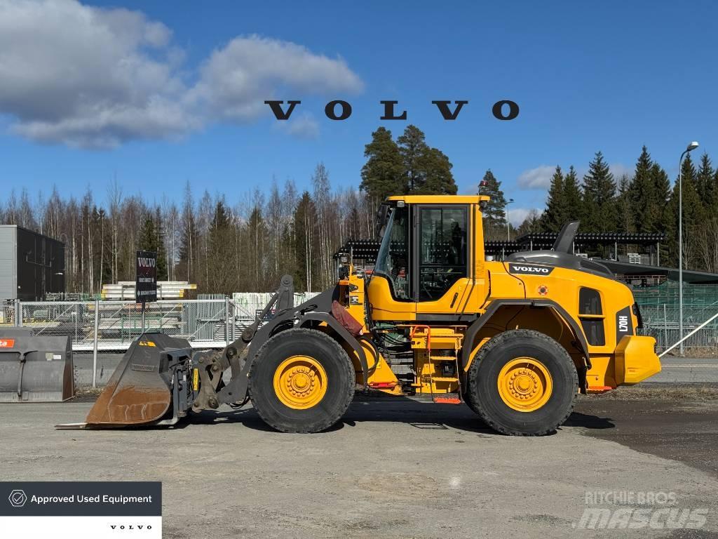 Volvo L 70 H Pale gommate