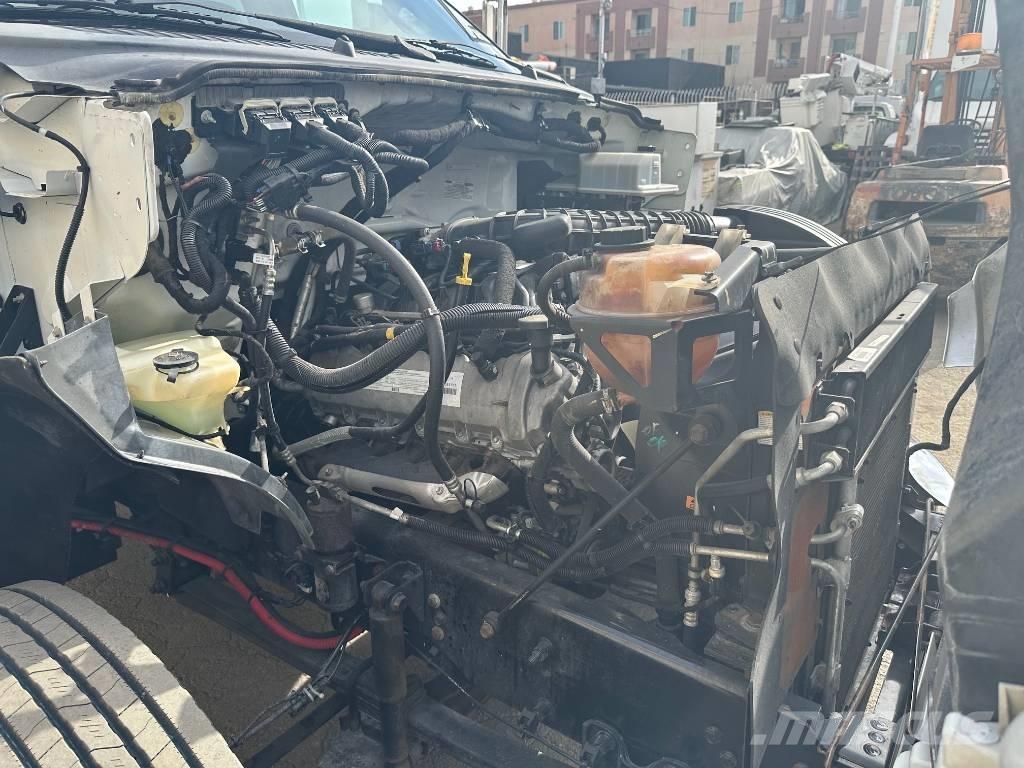 Ford F 650 SD Autocarri per segatura e cippato