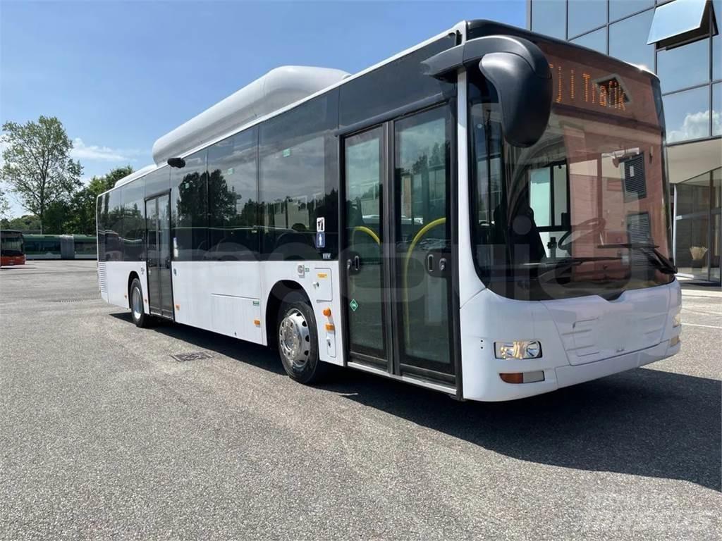 MAN A21 Autobus urbani