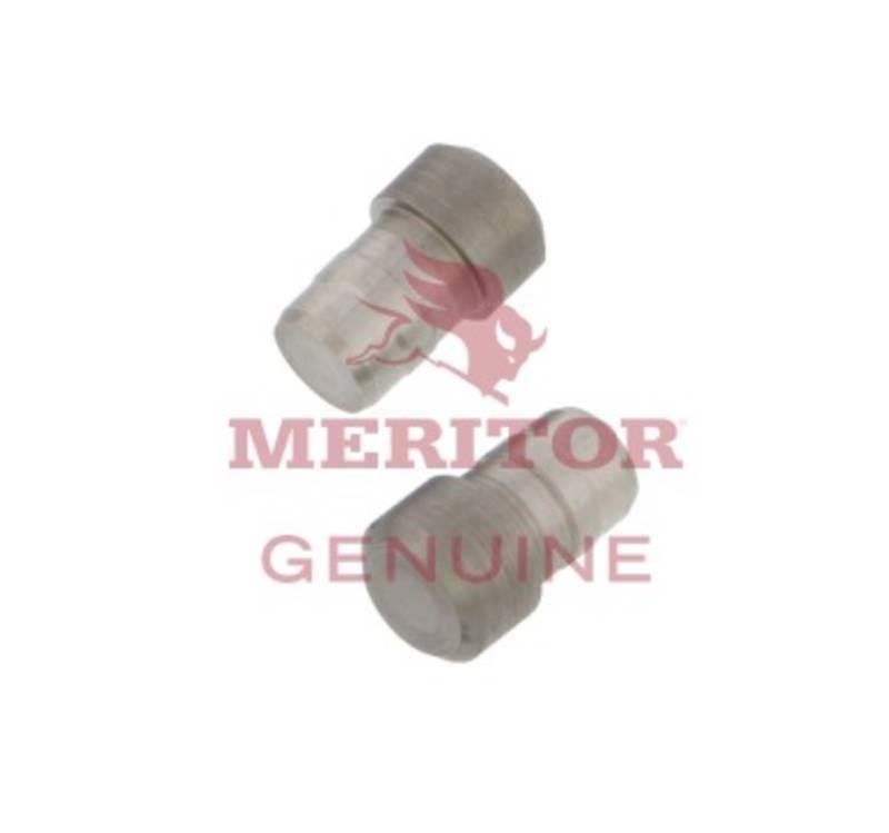Meritor  Assi