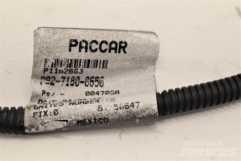 Paccar  Trasporto - Altro
