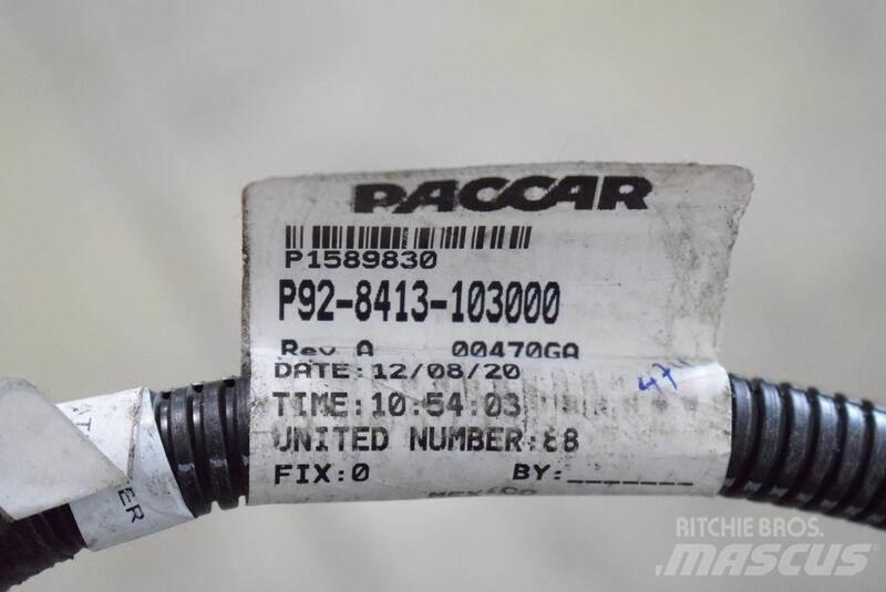 Paccar  Trasporto - Altro