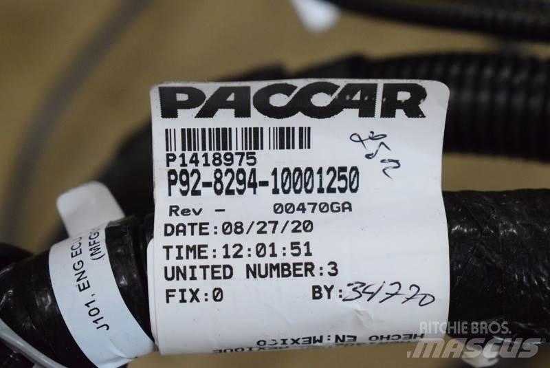 Paccar  Trasporto - Altro