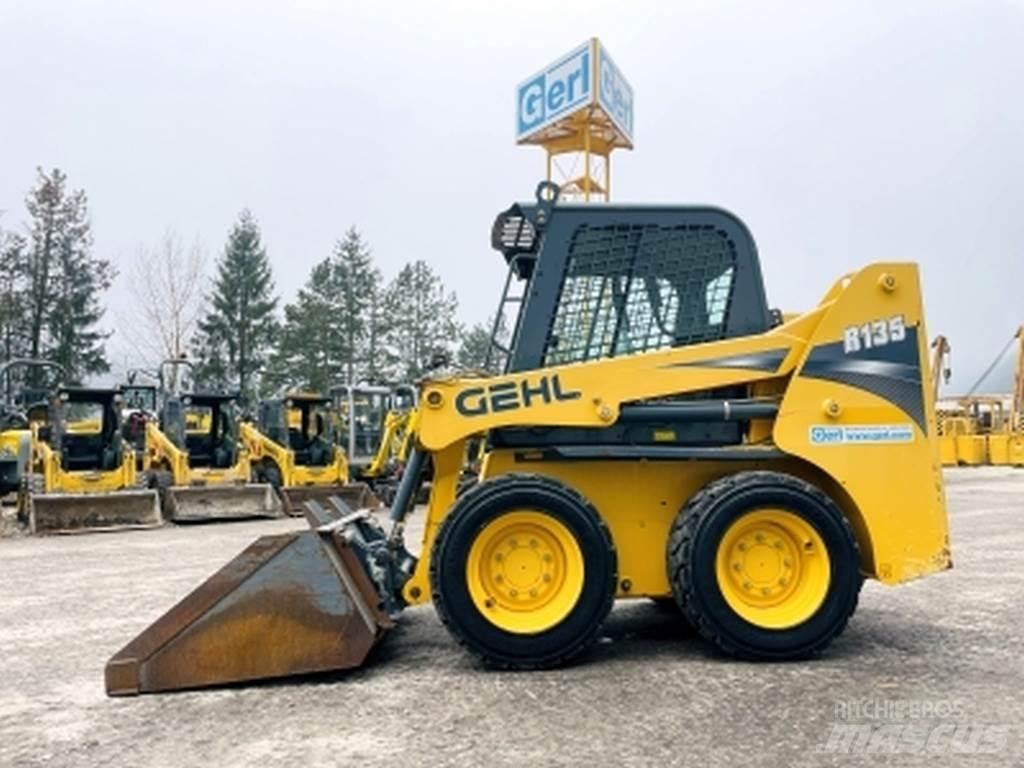 Gehl R135 Mini Pale Gommate