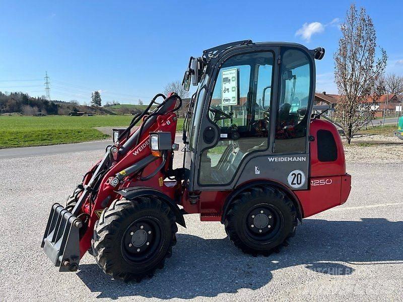 Weidemann 1250 Mini Pale Gommate