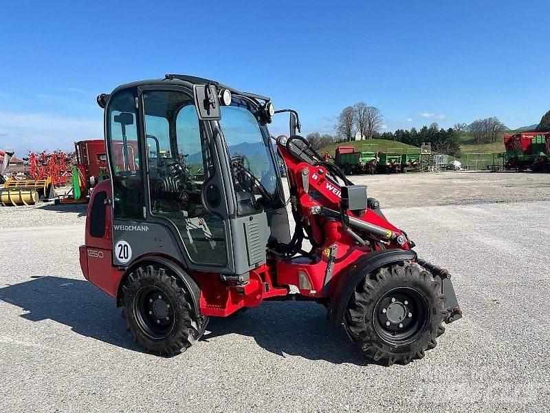 Weidemann 1250 Mini Pale Gommate