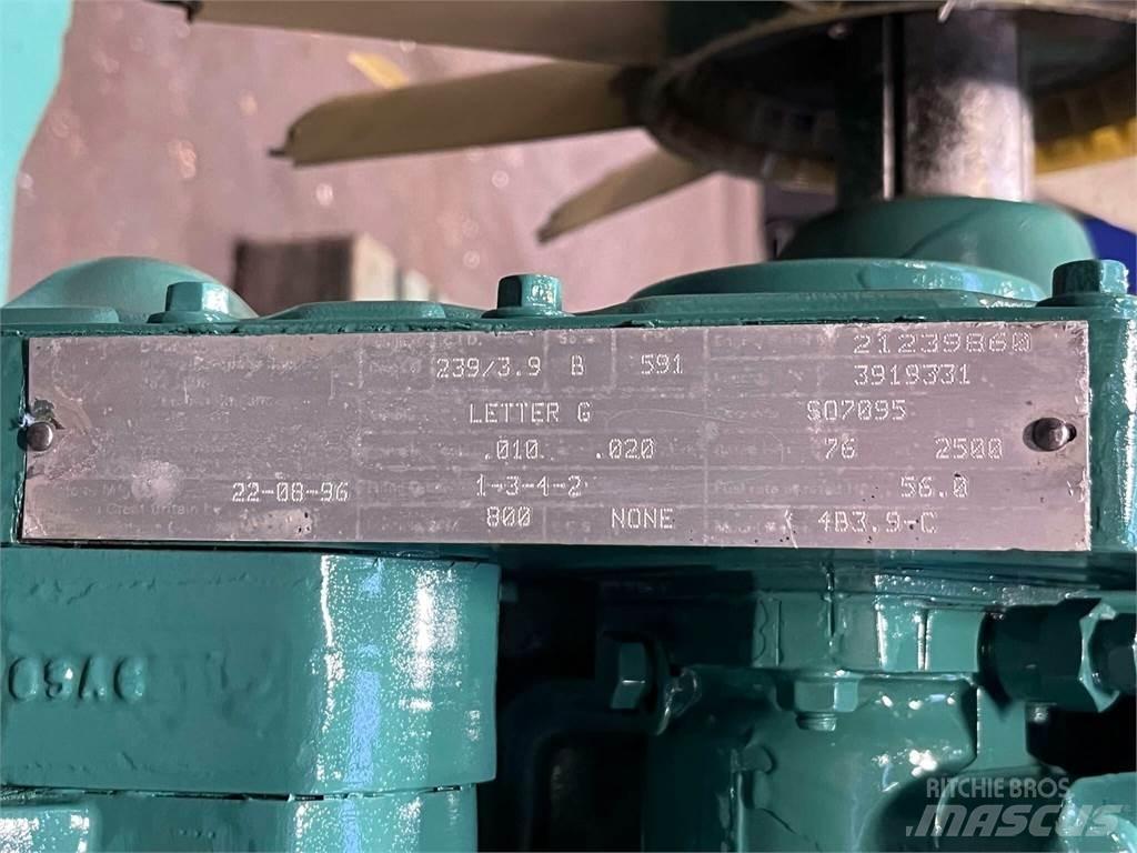 Cummins 4B3.9-C motor Motori