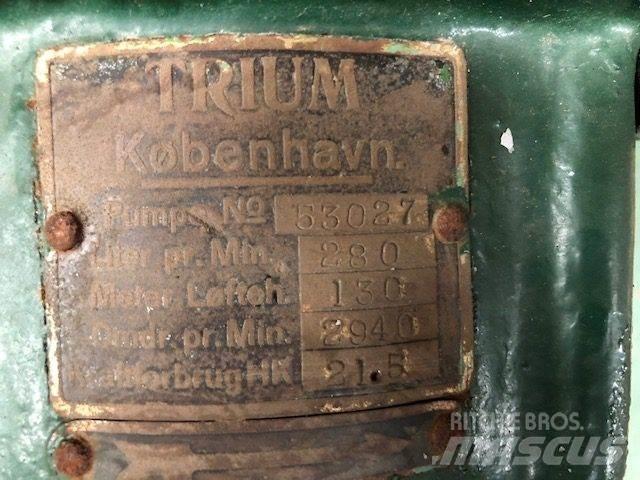  TRIUM QZKS Vandpumpe Pompa idraulica