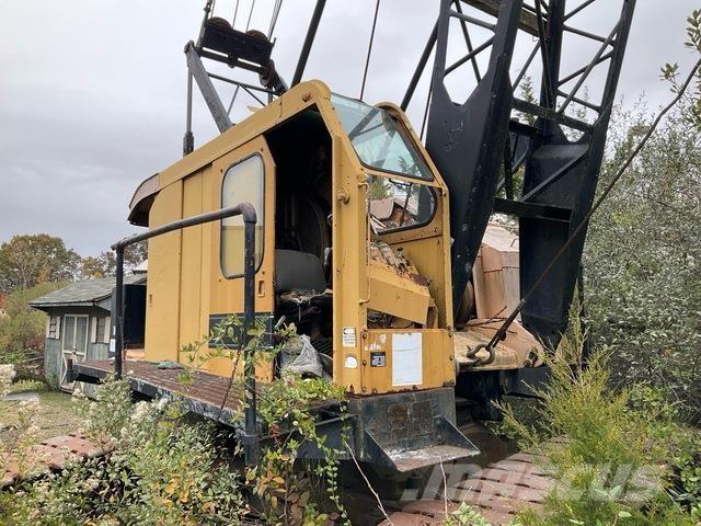 American 5299 Gru cingolate