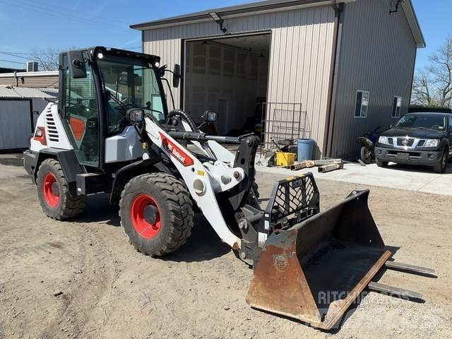 Bobcat L65 Pale gommate