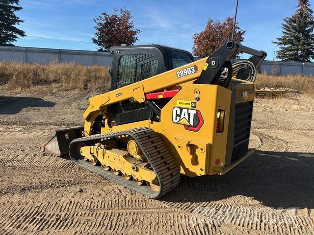 CAT 289D3 Mini Pale Gommate