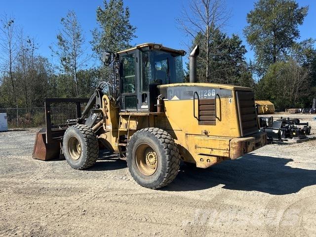 CAT IT28G Pale gommate