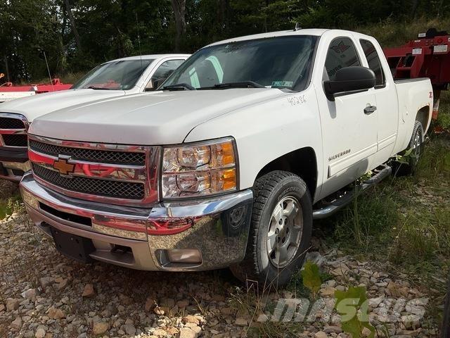 Chevrolet 1500 Pick up/Fiancata ribaltabile