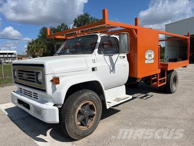 Chevrolet C7 Camion con sponde ribaltabili