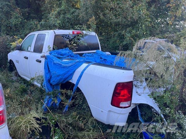 Dodge Ram 1500 Pick up/Fiancata ribaltabile