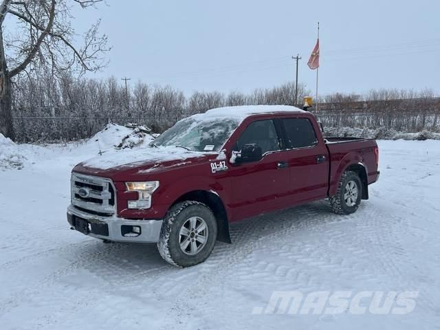Ford F-150 Pick up/Fiancata ribaltabile