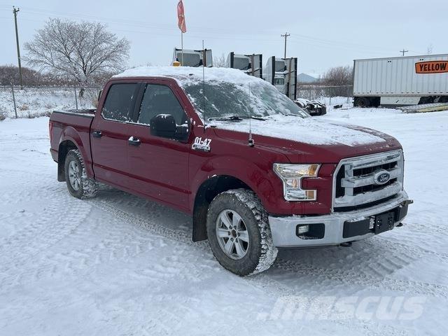 Ford F-150 Pick up/Fiancata ribaltabile