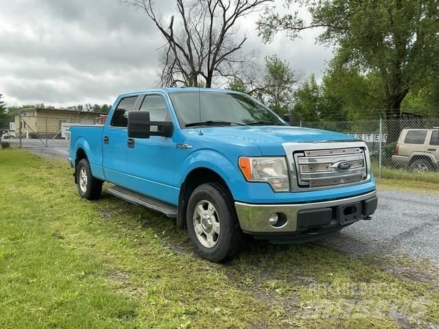 Ford F-150 Furgoni altro