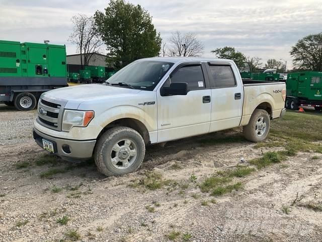 Ford F-150 Furgoni altro