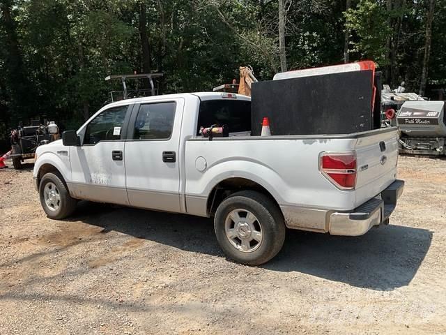 Ford F-150 Furgoni altro