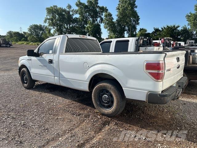 Ford F-150 Pick up/Fiancata ribaltabile
