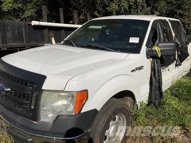 Ford F-150 Pick up/Fiancata ribaltabile