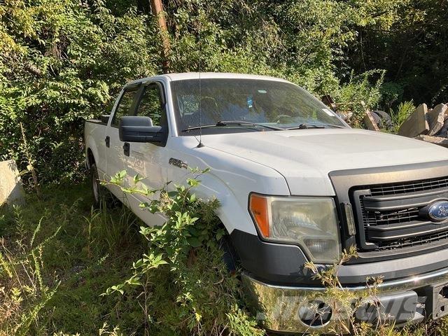 Ford F-150 Pick up/Fiancata ribaltabile