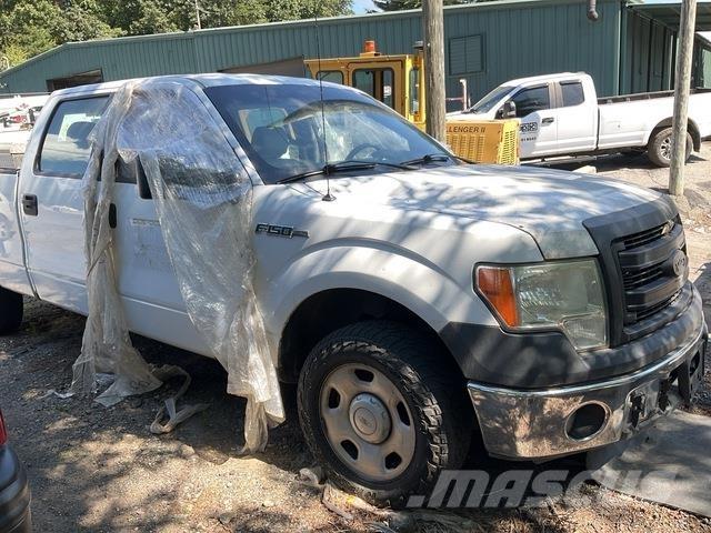 Ford F-150 Pick up/Fiancata ribaltabile