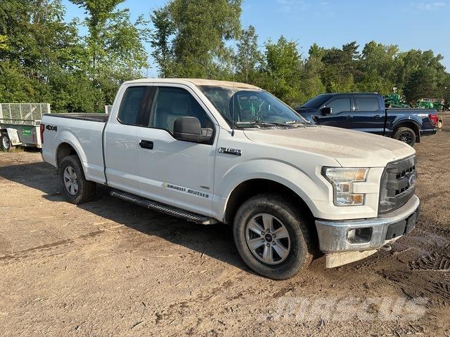 Ford F-150 Furgoni altro