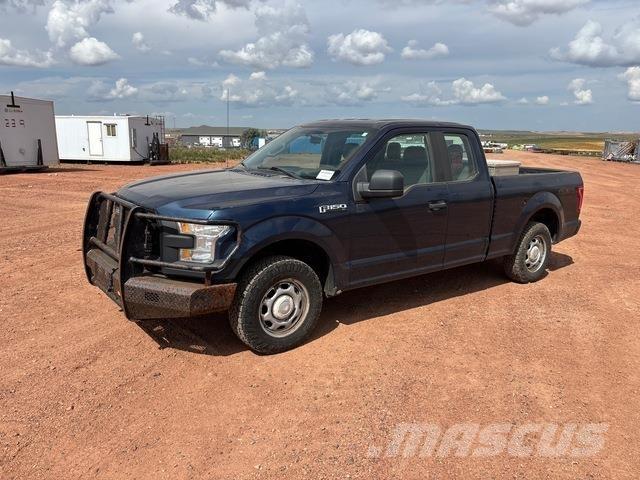 Ford F-150 Furgoni altro
