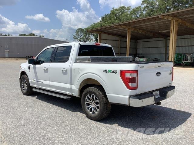 Ford F-150 Furgoni altro