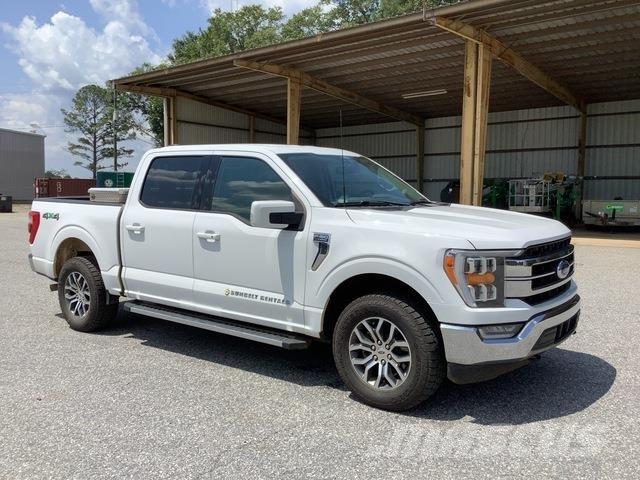 Ford F-150 Furgoni altro