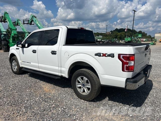 Ford F-150 Furgoni altro