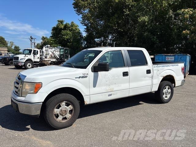 Ford F-150 Pick up/Fiancata ribaltabile