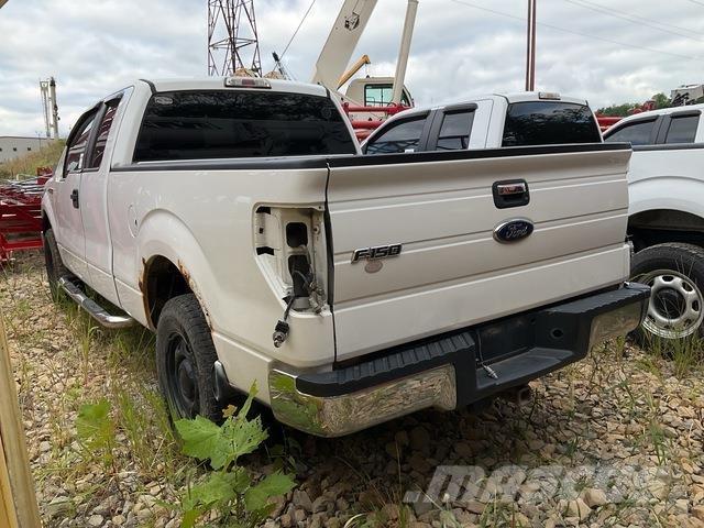 Ford F-150 Pick up/Fiancata ribaltabile
