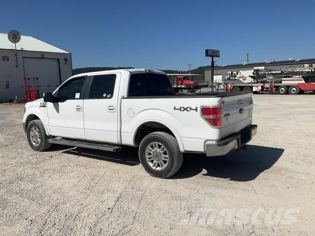 Ford F-150 Pick up/Fiancata ribaltabile