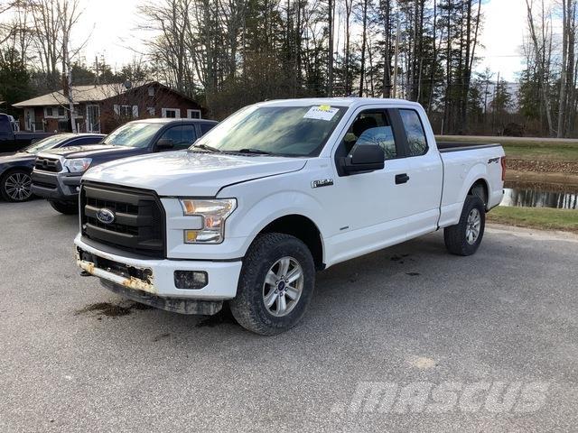 Ford F-150 Pick up/Fiancata ribaltabile