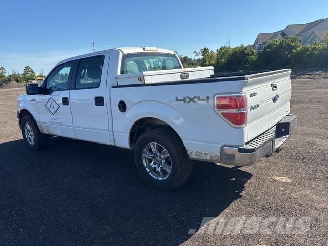 Ford F-150 Pick up/Fiancata ribaltabile