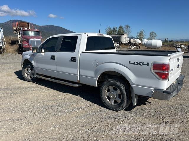 Ford F-150 Pick up/Fiancata ribaltabile
